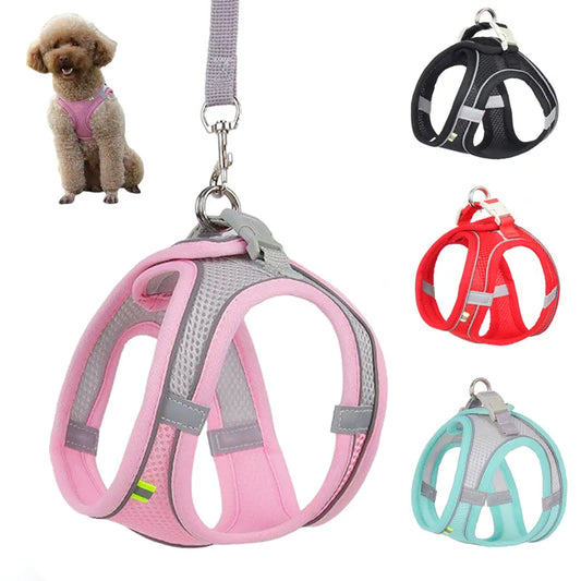 Easily Adjustable Harness Vest for dogs